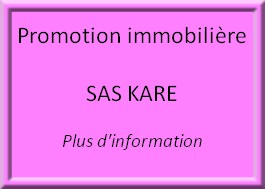 Promotion immobilère